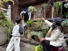 -龙姐私房菜(和顺古镇店)