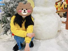 -世界之窗阿尔卑斯冰雪世界
