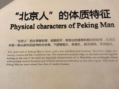 -北京周口店北京人遗址博物馆
