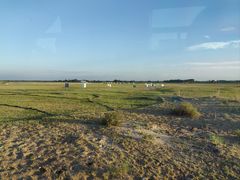 -亿利库布其七星湖沙漠生态旅游区