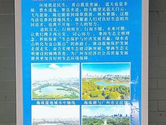 -海珠湖公园