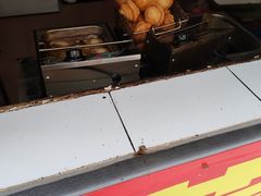 -祝好吃韭菜盒