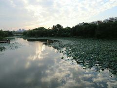 -新江湾城公园
