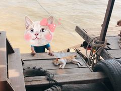 -洞里萨湖