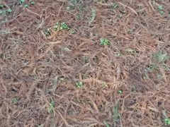 -艾溪湖湿地公园