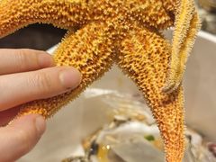 -川骄海鲜自助(河东店)