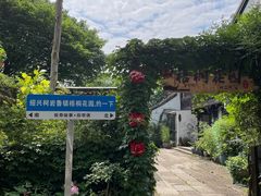 -鲁镇