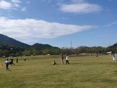 -风云岭森林公园