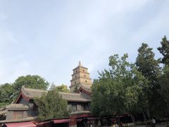 -大雁塔北广场音乐喷泉