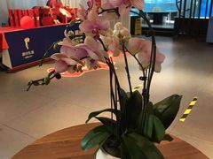-眉州东坡(通州店)