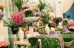 -源牌品粹新中式婚礼餐厅·宴会厅