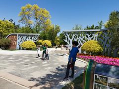 -武清南湖绿博园