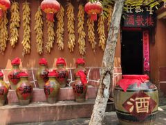-云南民族村