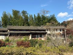 -溪口-滕头旅游景区