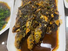 红烧昂刺鱼-观桥阁(锦溪店)