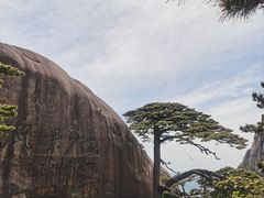 -黄山风景区