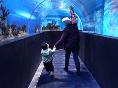 -成都浩海立方海洋公园