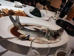 -上海明天广场JW万豪酒店