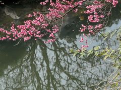 -杭州西湖柳莺里酒店