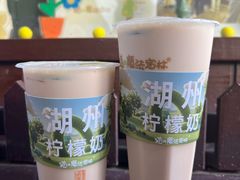 -猫的魔法密林(衣裳街店)