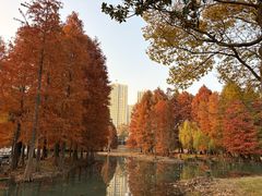 -白塘生态植物园