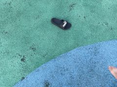 -白塘生态植物园