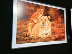 -罗红摄影艺术馆