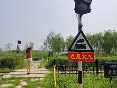 -西青郊野公园