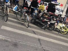 -长宁东道花卉宠物市场