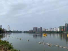 -飞来湖湿地公园