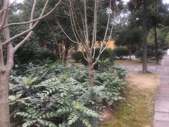 -太平天国侍王府