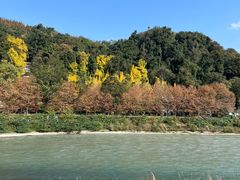 -都江堰景区