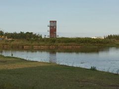 景点-春花秋色城市公园