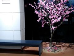 android_upload_pic-上海浦东展览馆