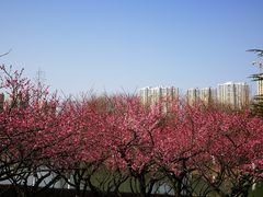 -白塘生态植物园