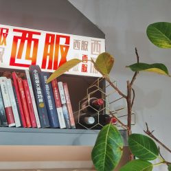 -ChenV西服礼服高级定制(市区养育巷店)