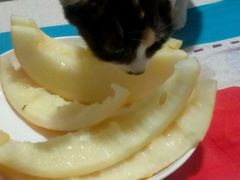 -自由人影城(大庆唐人中心店)