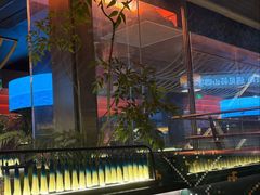 -芸山季·云南山珍菌火锅(人民广场来福士店)