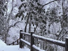 -龙苍沟森林公园