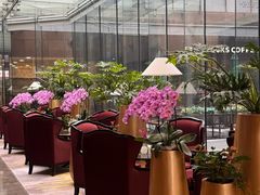 -北京朝阳悠唐皇冠假日酒店