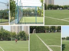 -太阳宫足球俱乐部