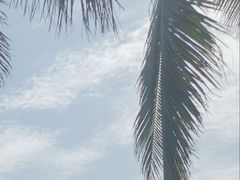 -楠溪江风景名胜区