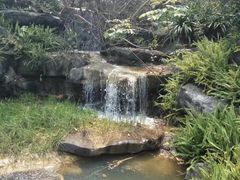 -桂林园博园