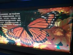 -上海昆虫博物馆