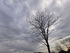 -老山国家森林公园