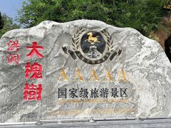 -大槐树寻根祭祖园