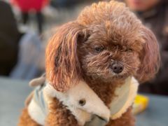 -食膳公园包子铺(烈士公园店)