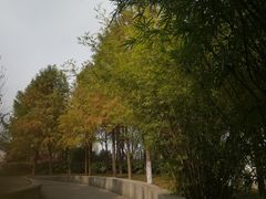 -尚贤河湿地