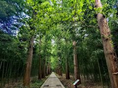 -同里国家湿地公园