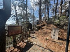 -天目山大树王景区